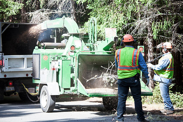 Faxon, PA Tree Care Company